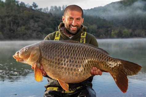 Cool Monster Carp Without Ali Hamidi Popular