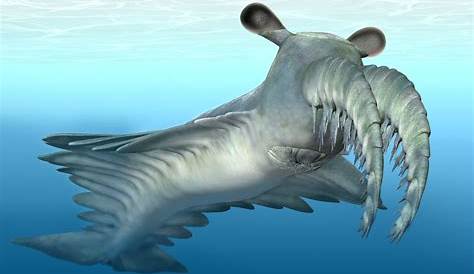 Are unknown mysterious deep sea monsters still to be discovered