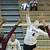 montana grizzlies volleyball