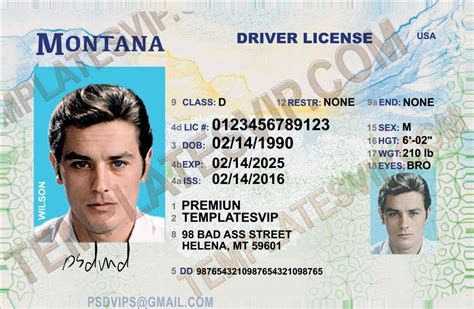 montana driver's license verification