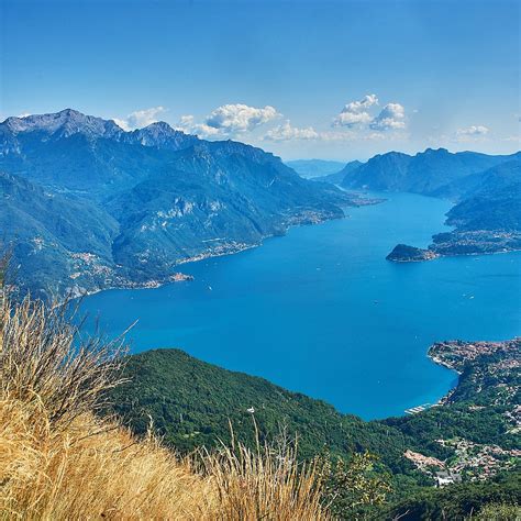 About Monte Grona Comer See Going Viral