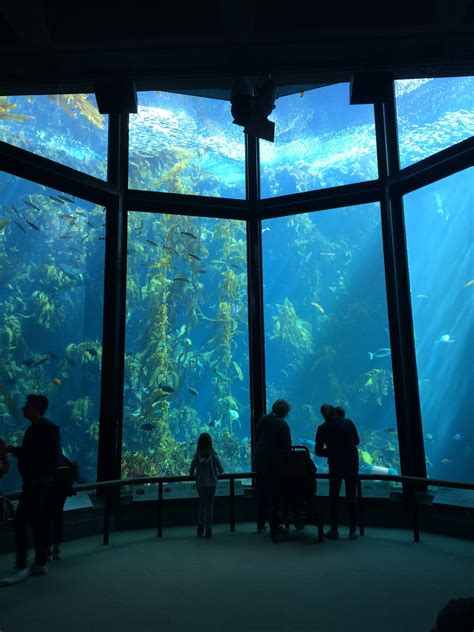 monterey bay aquarium family membership