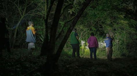 monteverde costa rica night tour