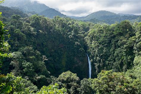 monteverde provincia de puntarenas costa rica