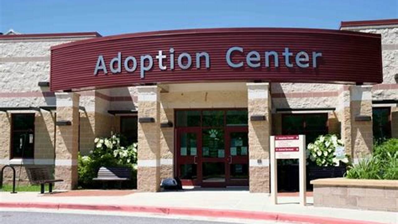 Montgomery County Animal Adoption News and Updates for Your Furry Friends