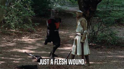 Flesh Wound Funny memes, Funny pictures