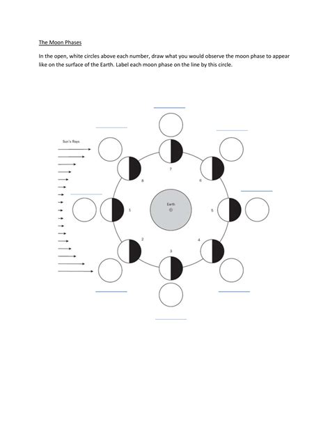 moon phases diagram worksheet pdf
