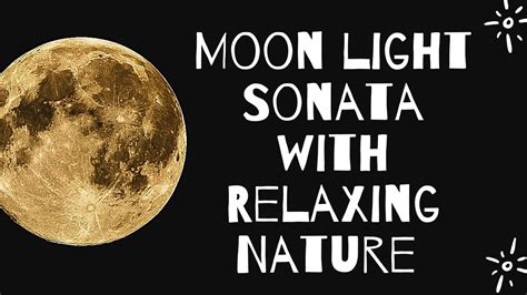 moonlight sonata with nature sounds