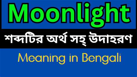 moonlighting meaning in bengali