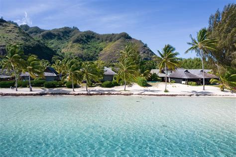 moorea beach lodge reviews