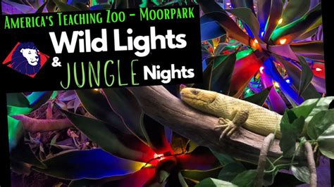 moorpark college zoo christmas lights