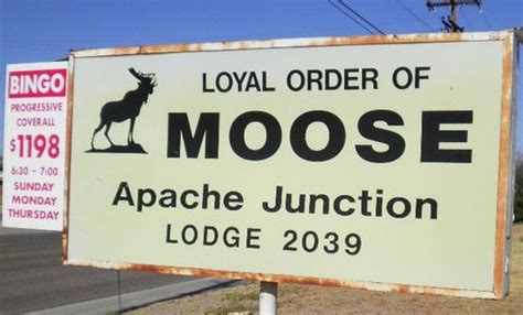 Moose Lodge In Apache Junction