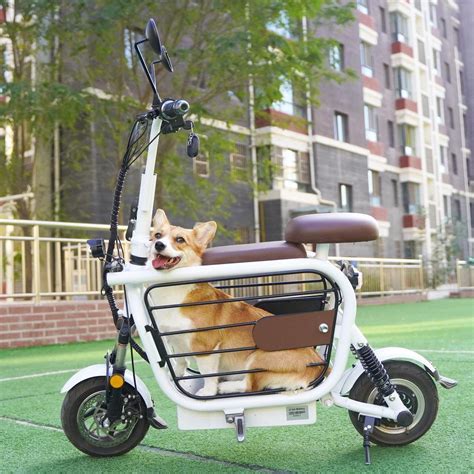 moped electric bike with dog carrier
