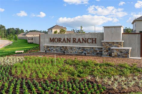 Moran Ranch Willis Tx