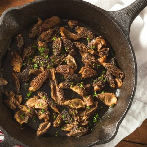 Morel Breakfast Recipes