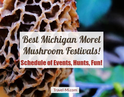Morel Festivals