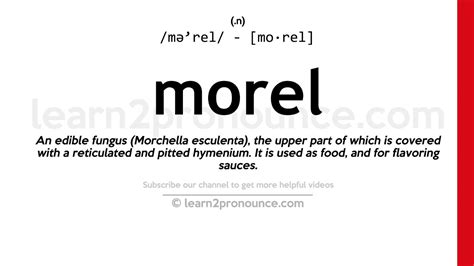 morel meaning in tamil
