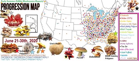 morel mushroom hunting map 2023