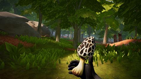 Morels Homestead Tips