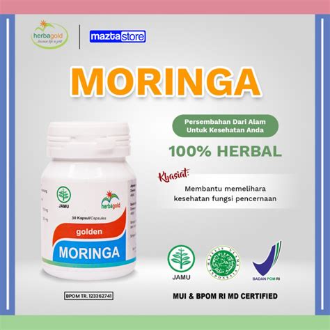 moringa+meningkatkan+kesehatan+pencernaan