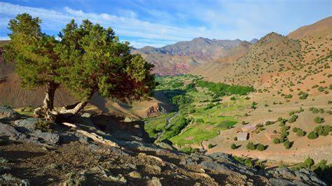 Moroccan Wallpapers HD