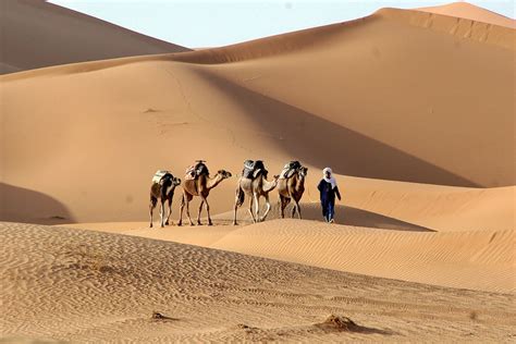 morocco travel package