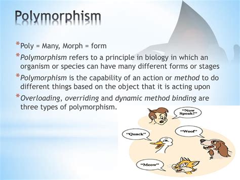 morphism meaning in biology