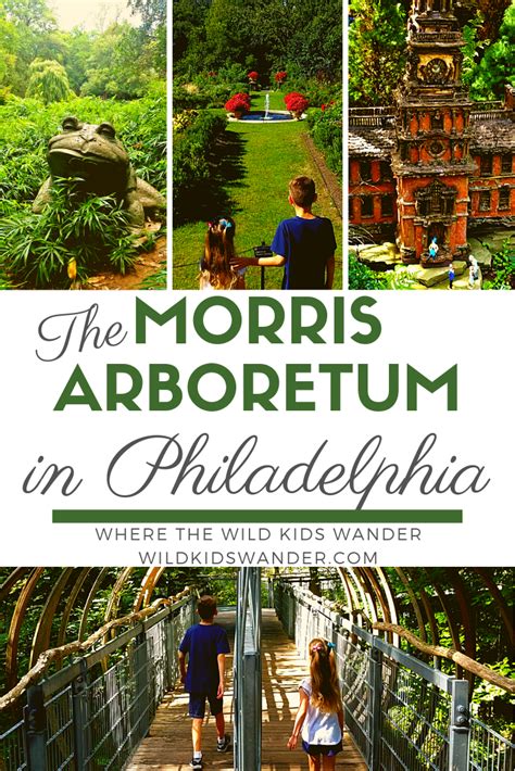 Morris Arboretum Groupon