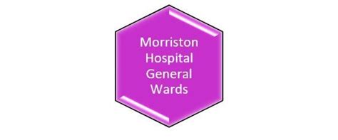 morriston hospital wards and departments
