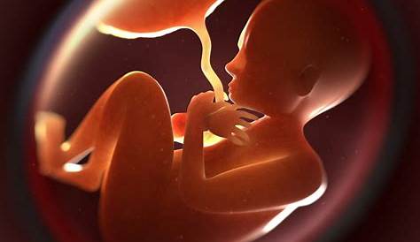Morte perinatale: foto di una bambina nata morta per ricordarla e farla
