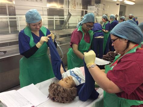 Mortuary Assistant Qualifications Uk