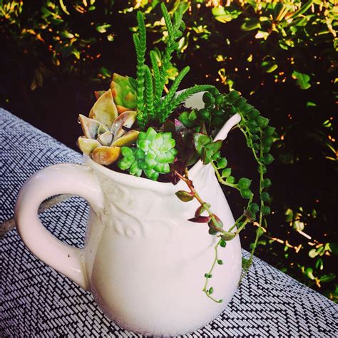 Moscow Mule Mug Succulents