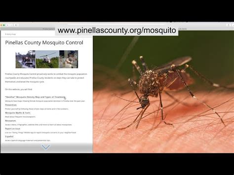 Uncover 8 Surprising Insights About Mosquito Control Elfers