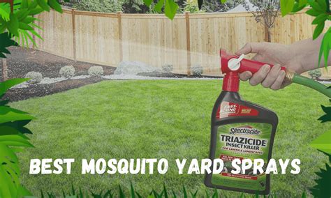 mosquito control in yard