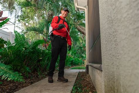 8 Key Insights: Mosquito Control Riverview