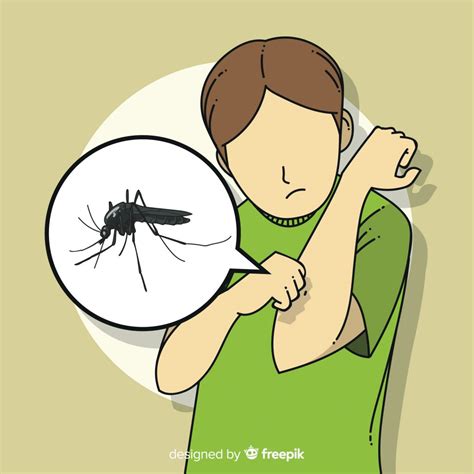 mosquito del dengue dibujo