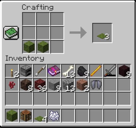 Moss Carpet Minecraft