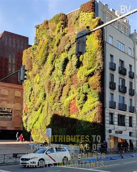 Moss Concrete Facebook