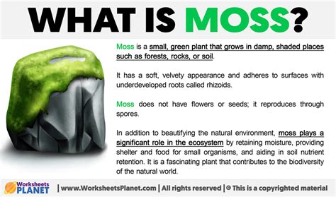 Moss Definition Urban Dictionary
