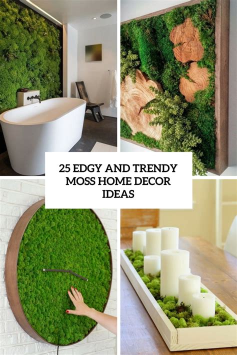 20 Fresh And Natural Moss Wall Art Decorations Home Design And Interior