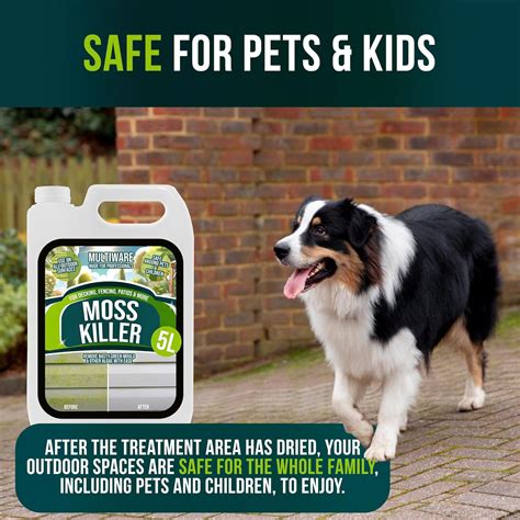 Moss Killer For Paths