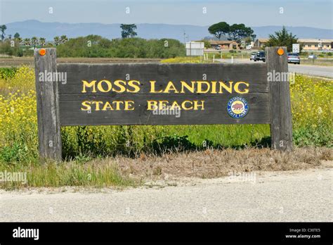 moss landing to monterey