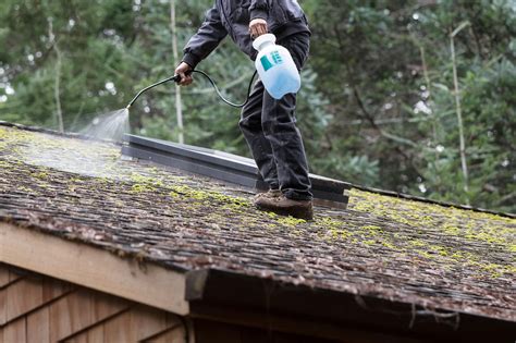 moss removal from roof