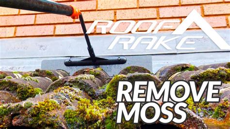 Moss Removal From Roof Tools