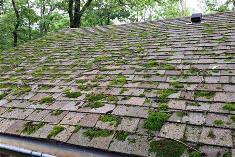 moss roof removal near me coos bay or