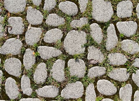 mossy concrete floor