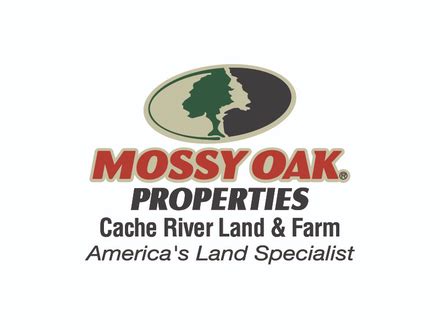 mossy oak properties cache river land & farm