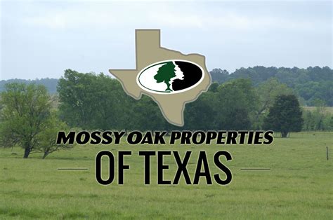 mossy oak properties texas