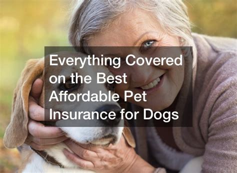 most affordable dog insurance in canada