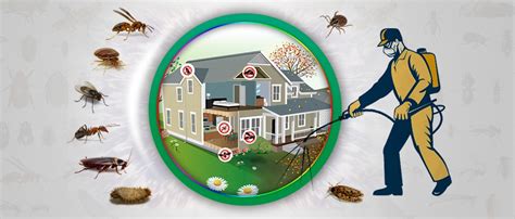 most affordable pest control service near me